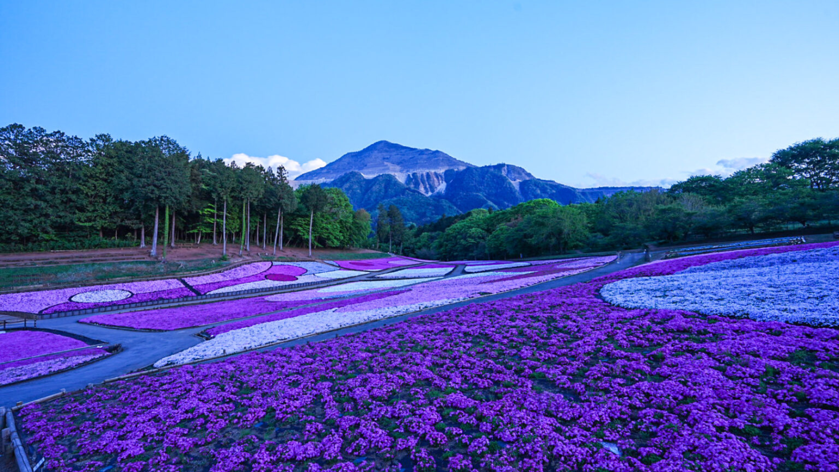 写真で見るRunHive